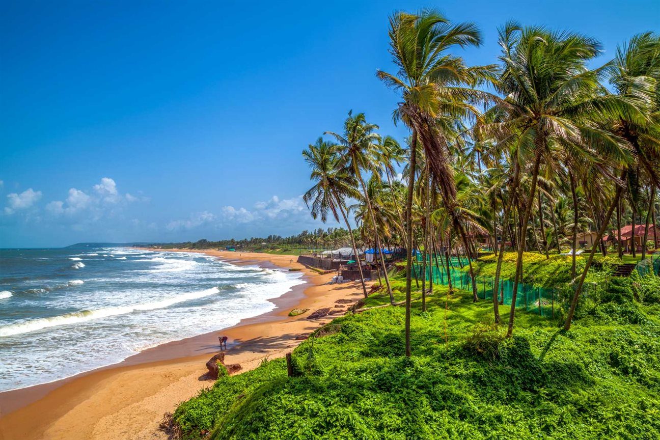 Palm-fringed sandy beach and coastline in Goa