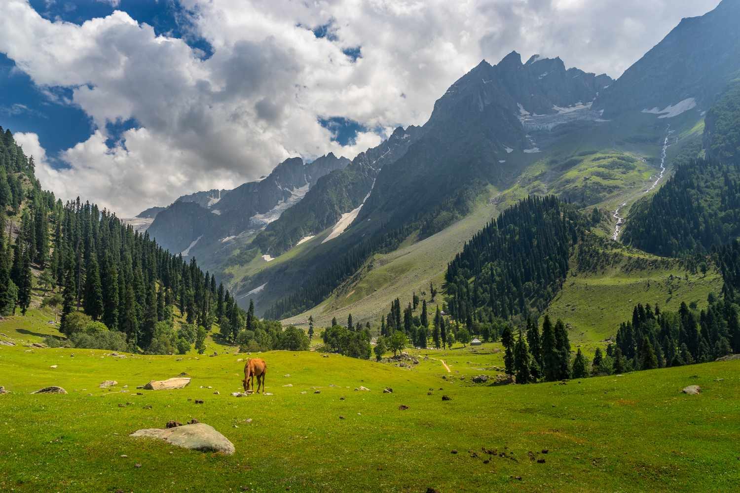Snow-capped mountains and green valley in Kashmir