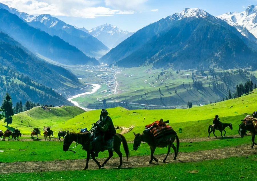 Kashmir Valley tour package